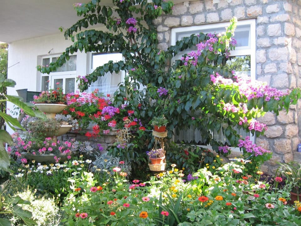 Property building, Beach