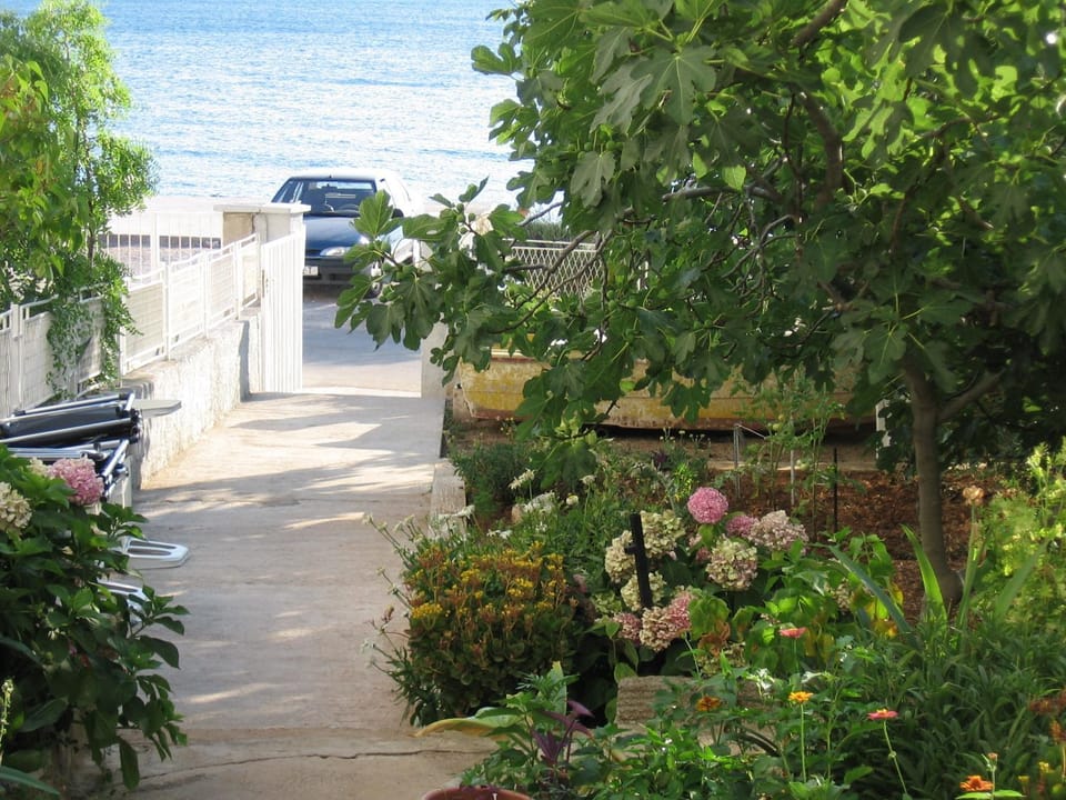 Patio, Summer, Garden, Beach, Beach, On site, Sunset