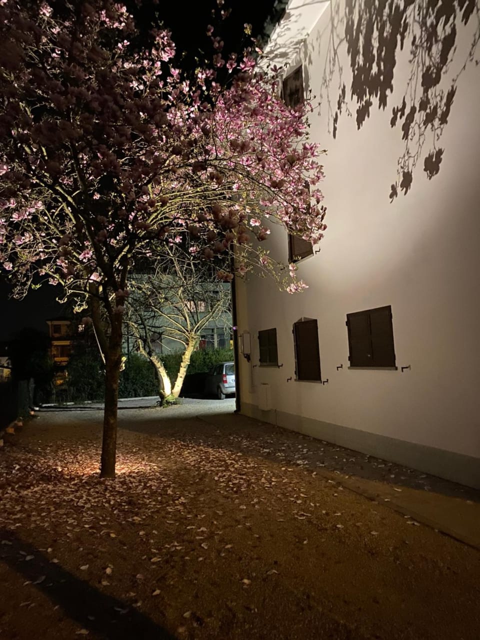 Casa Bellodi Bed and Breakfast in Emilia-Romagna