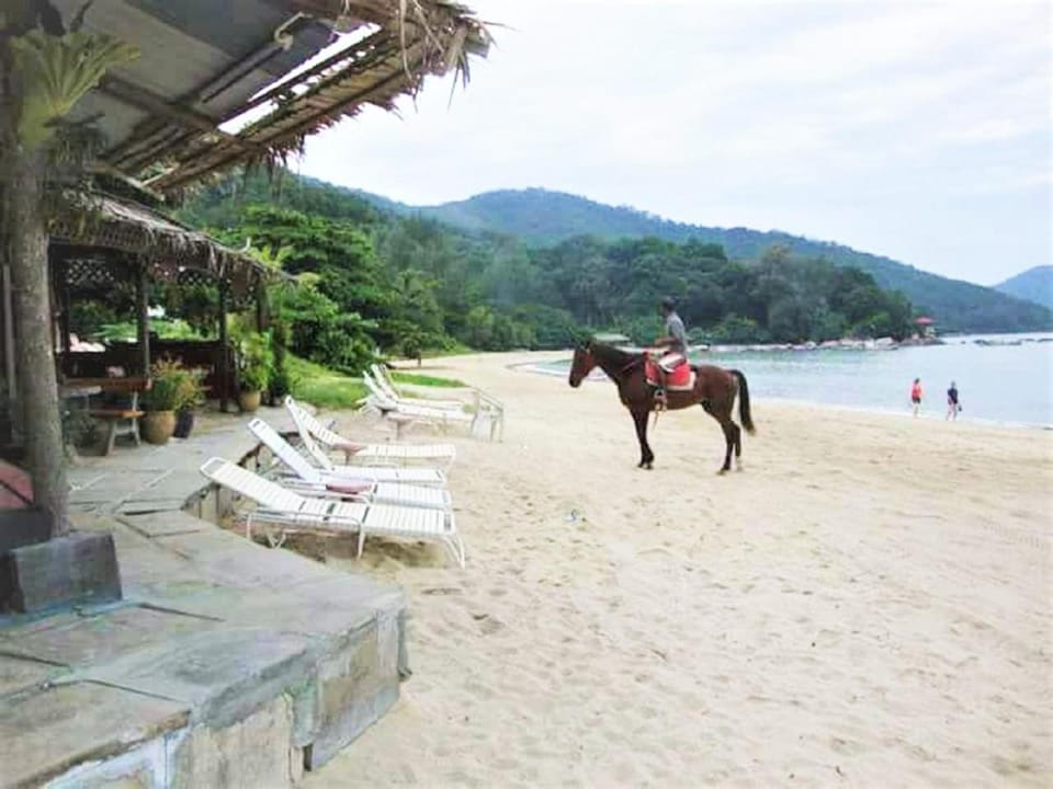 Nearby landmark, Horse-riding, Beach