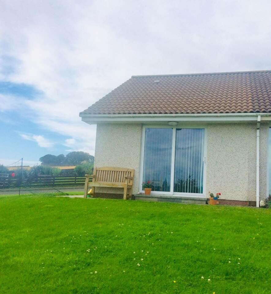 Property building, Garden, Garden view