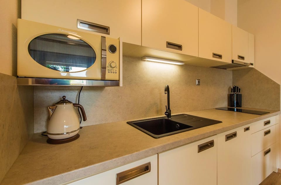 Apartment Marie Apartment in Lipno nad Vltavou