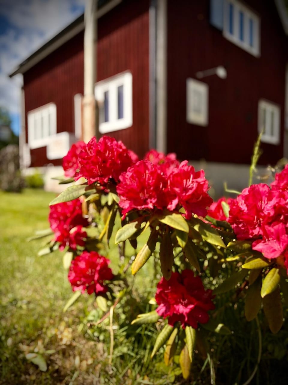 Garden, Garden view