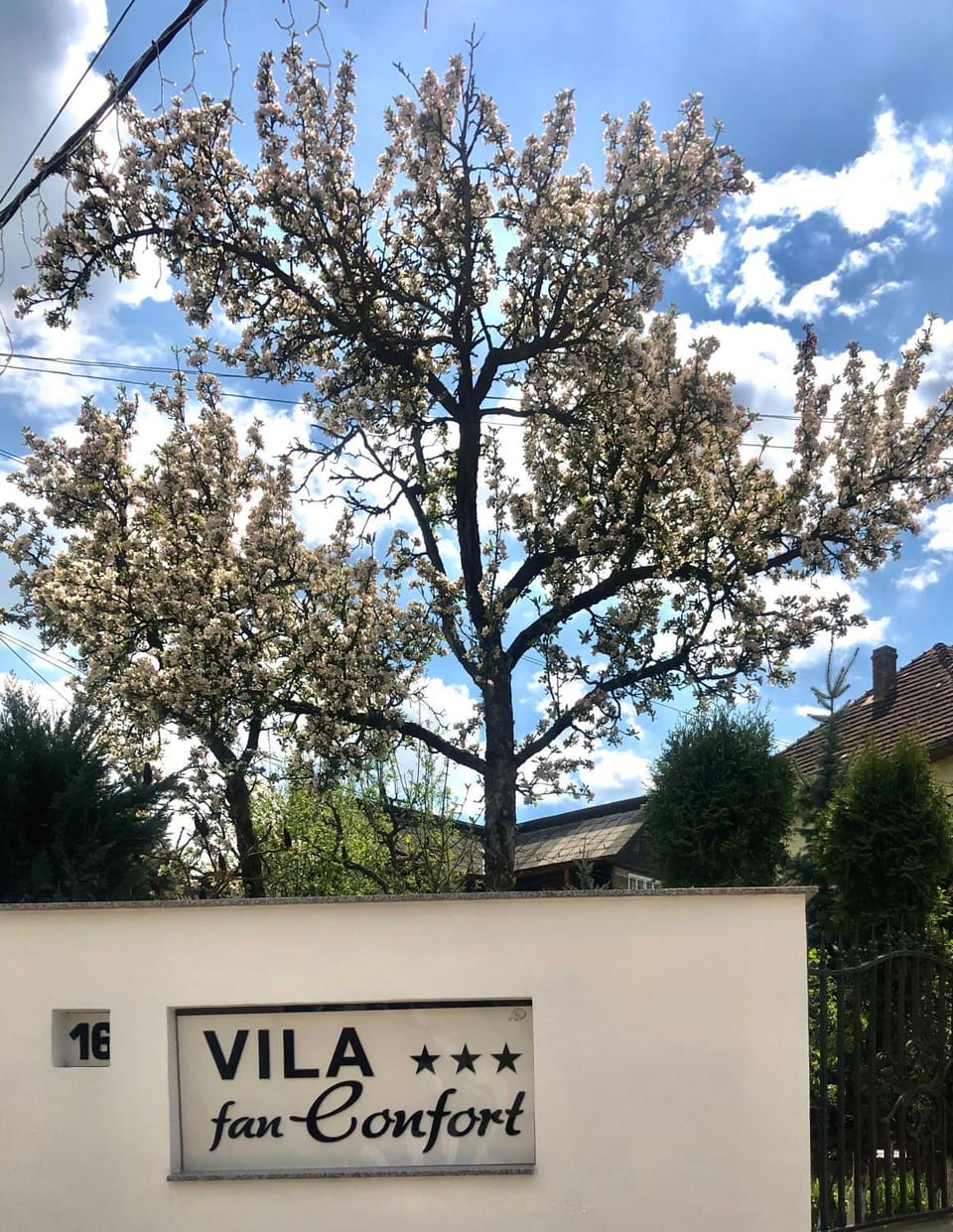 Vila FAN Confort Bed and Breakfast in Romania