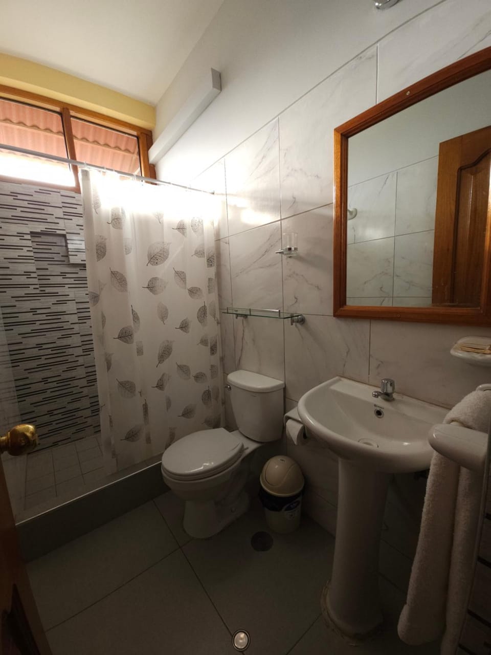 Rosa Victoria Inn in Tarapoto