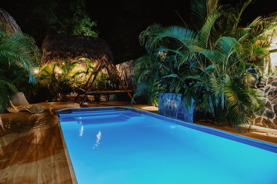 Night, Garden, Decorative detail, Swimming pool