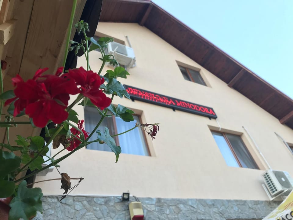 Pensiunea Minodora Bed and Breakfast in Romania