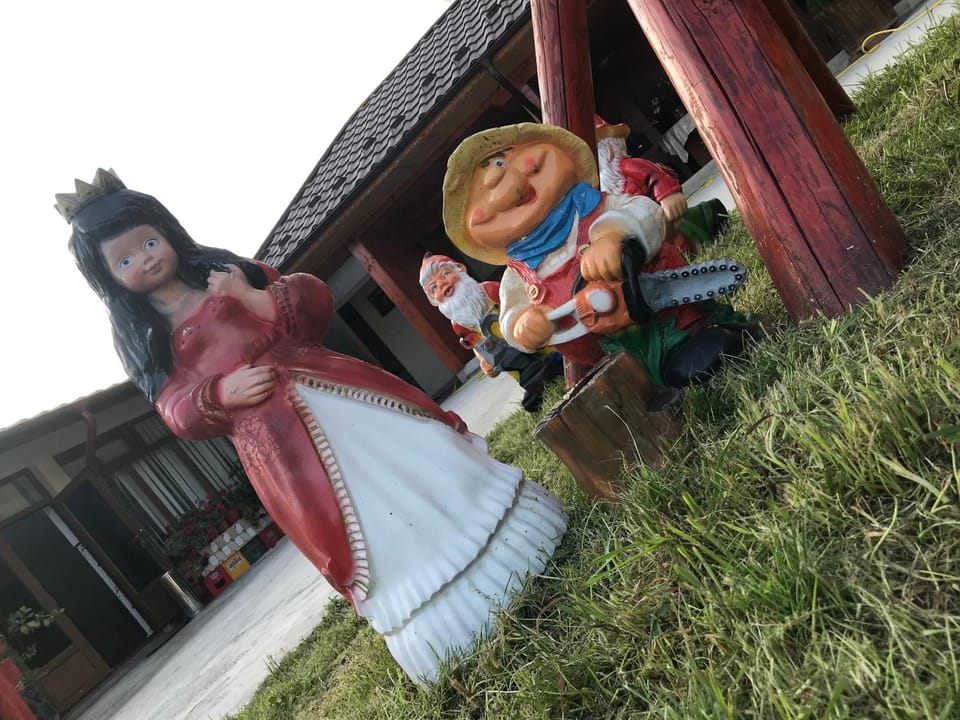 Pensiunea Minodora Bed and Breakfast in Romania