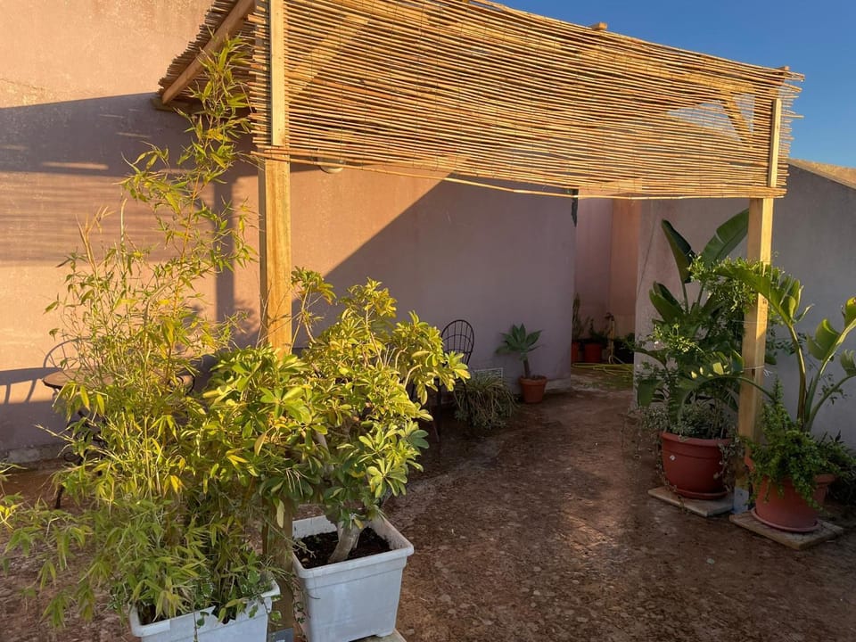 Day, Balcony/Terrace, Dining area
