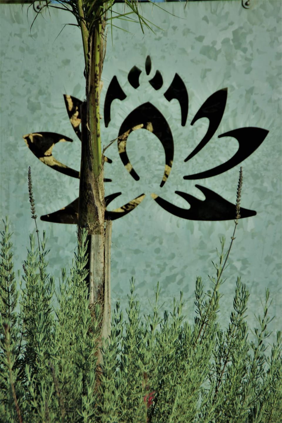 Giardino D'Oriente Bed and Breakfast in Apulia