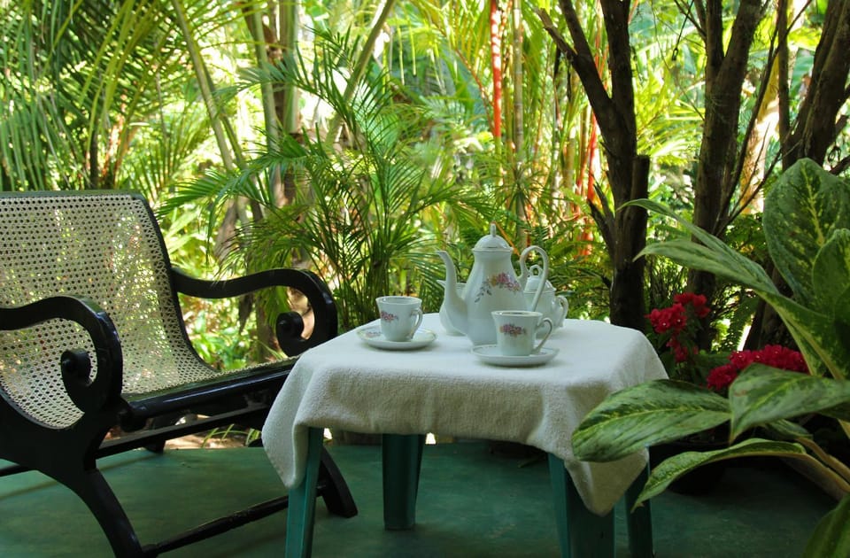 Natural landscape, Garden, Seating area, Garden view