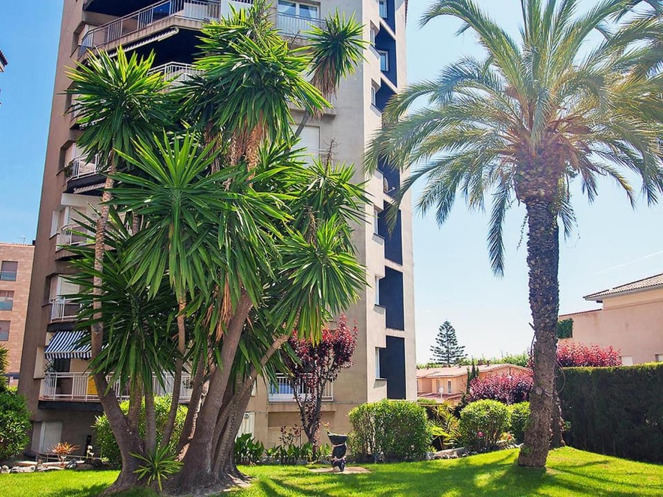 Property building, Garden, Garden view