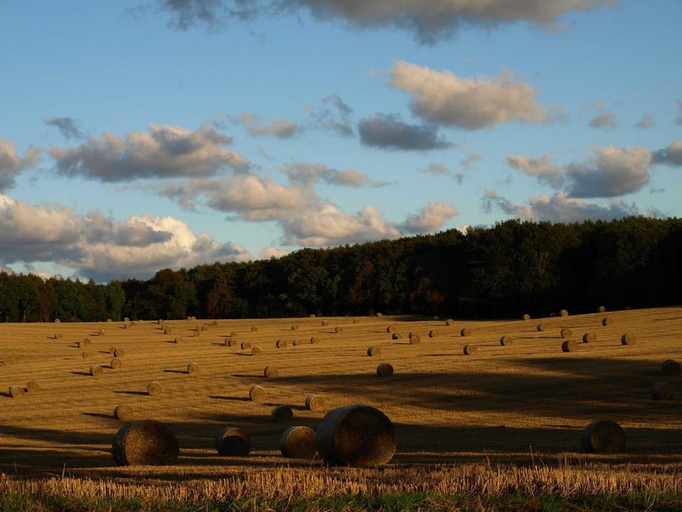 Natural landscape