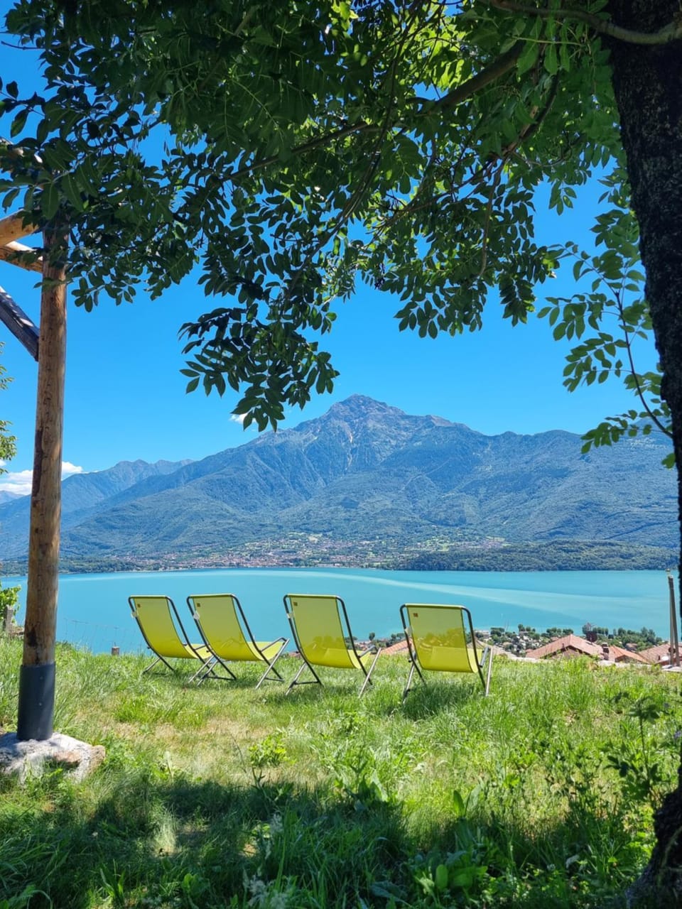 Natural landscape, Garden, Mountain view