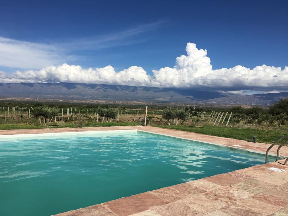 Swimming pool, Swimming pool