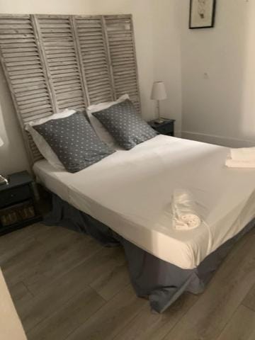 CANNES FESTIVALS b Apartment in Cannes