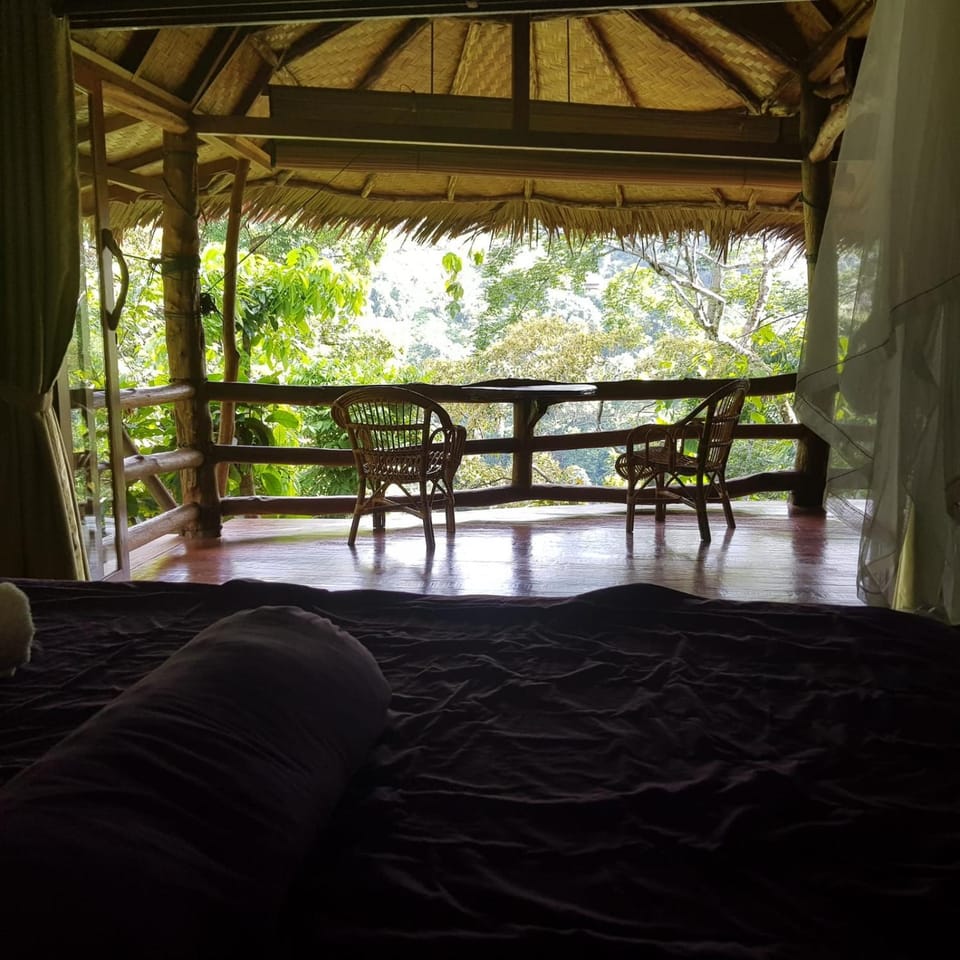 On The Rocks Bungalows, Restaurant and Jungle Trekking Tours - From May to September only stay here if you are booking jungle treks with us - feel free to contact us about our Jungle Trekking services Nature lodge in Indonesia