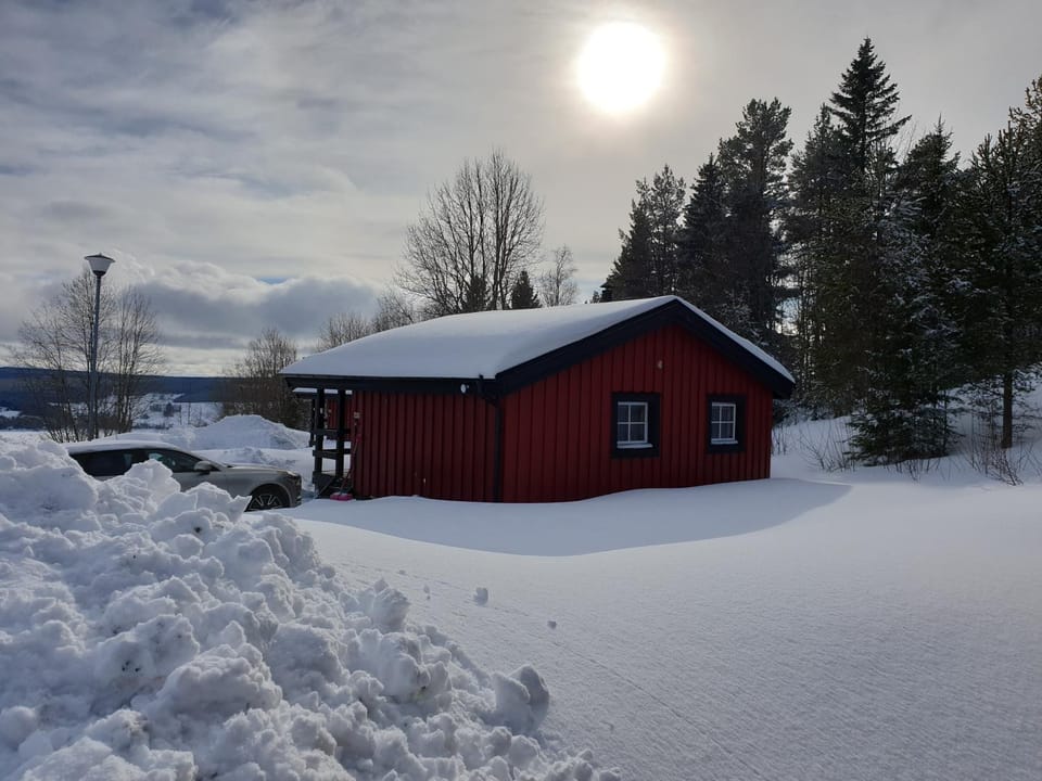 Winter