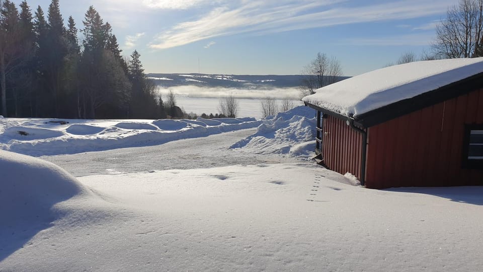 Winter