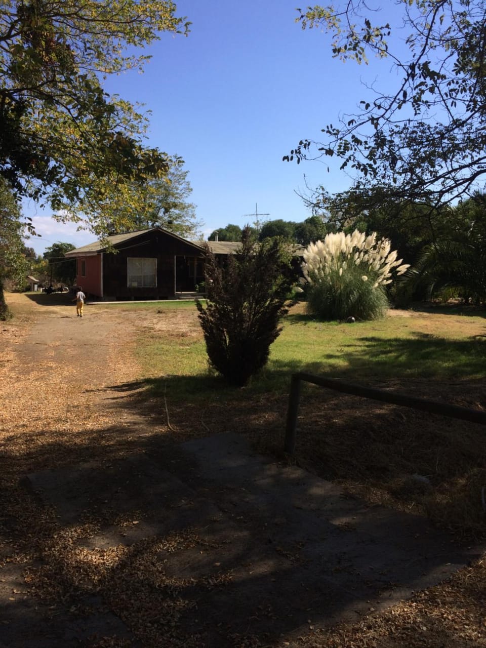 Facade/entrance, Garden, Garden view