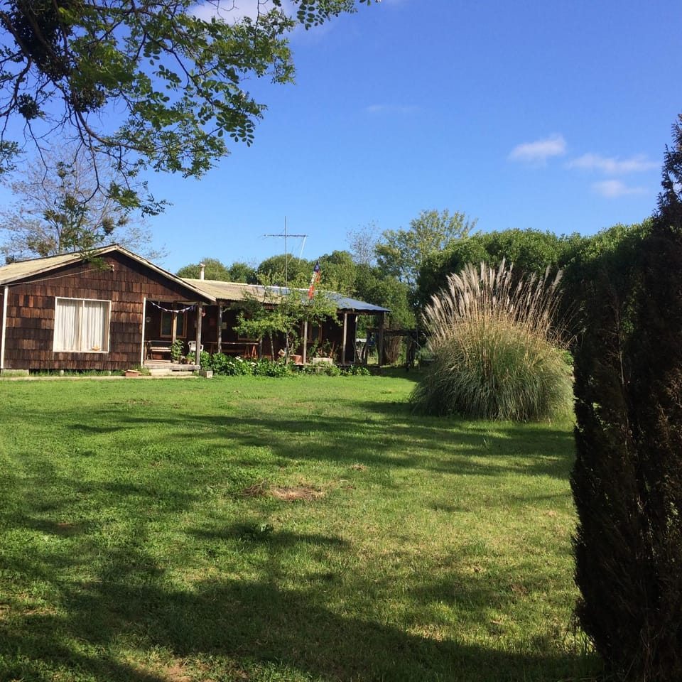 Spring, Day, Garden, Lobby or reception
