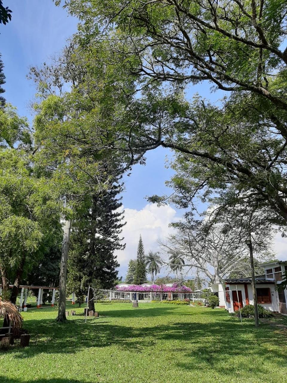 Garden, Garden view