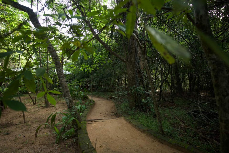Natural landscape, Garden view