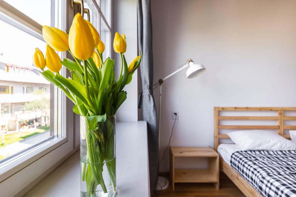 Saulės Namai Bed and Breakfast in Palanga