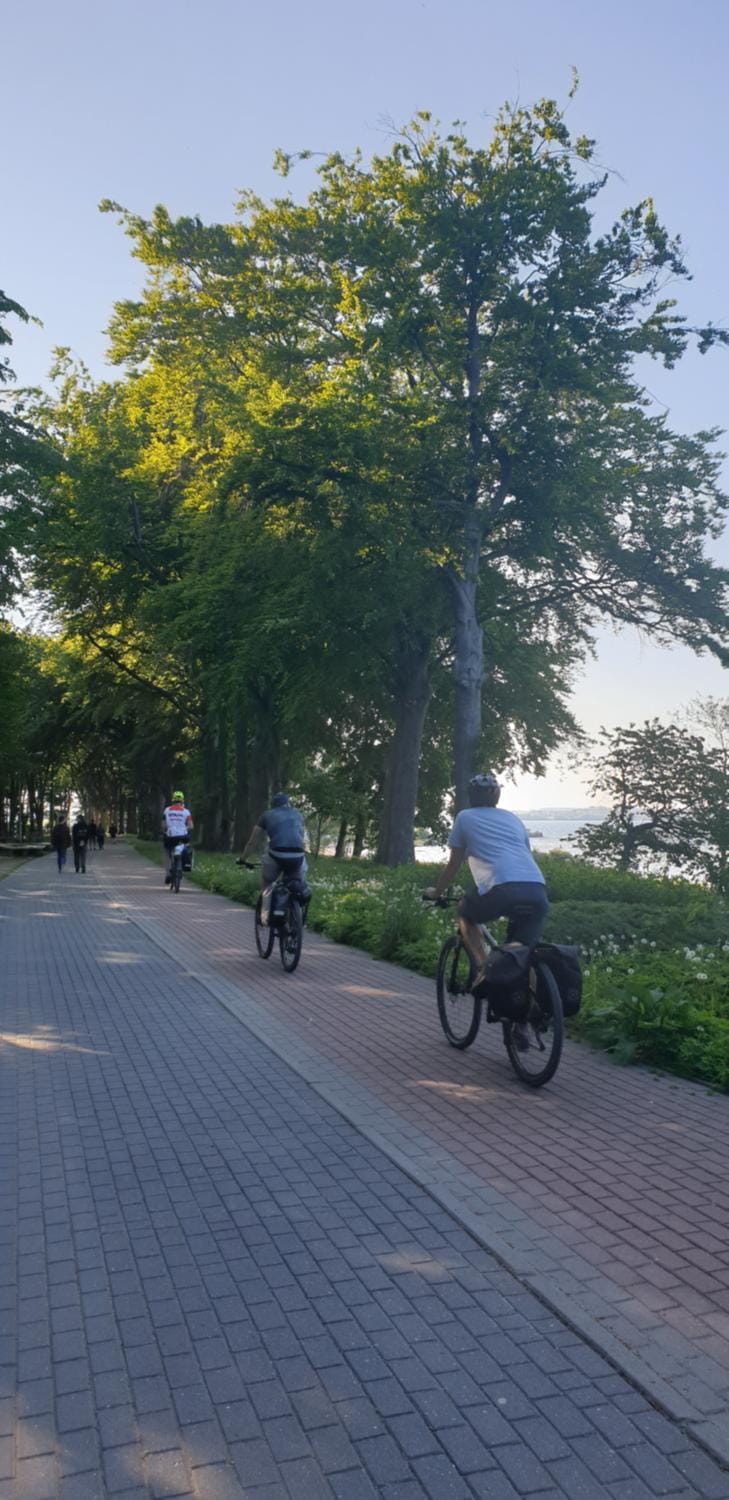 People, Cycling, Family