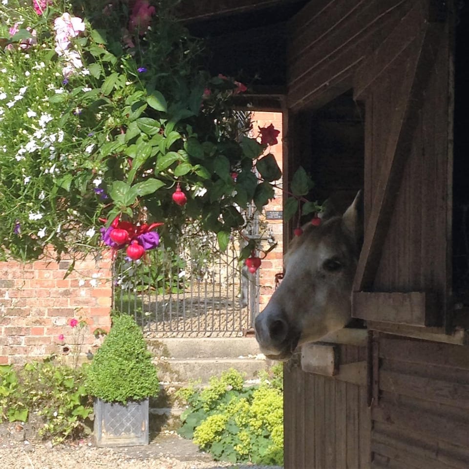 Blounts Court Farm Bed and Breakfast in England