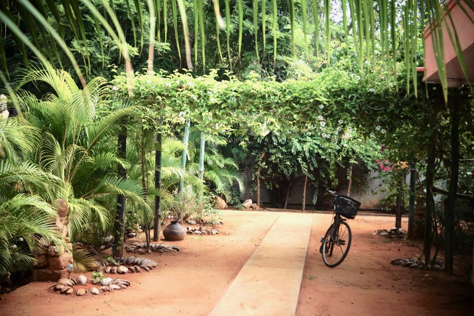 Natural landscape, Garden view