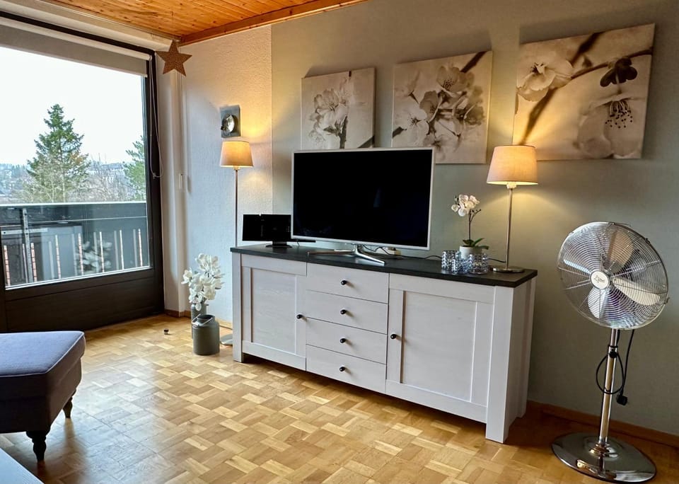 TV and multimedia, Living room