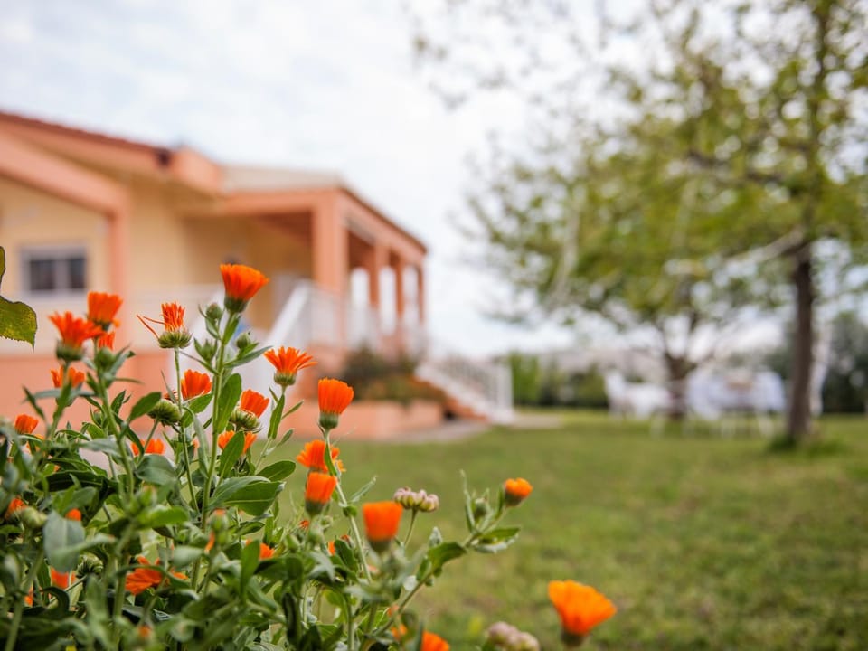 Garden, Balcony/Terrace, On site