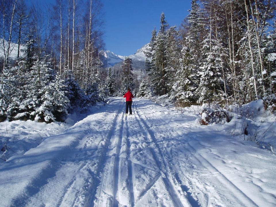 Skiing