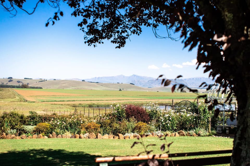 Natural landscape, Garden view, Mountain view