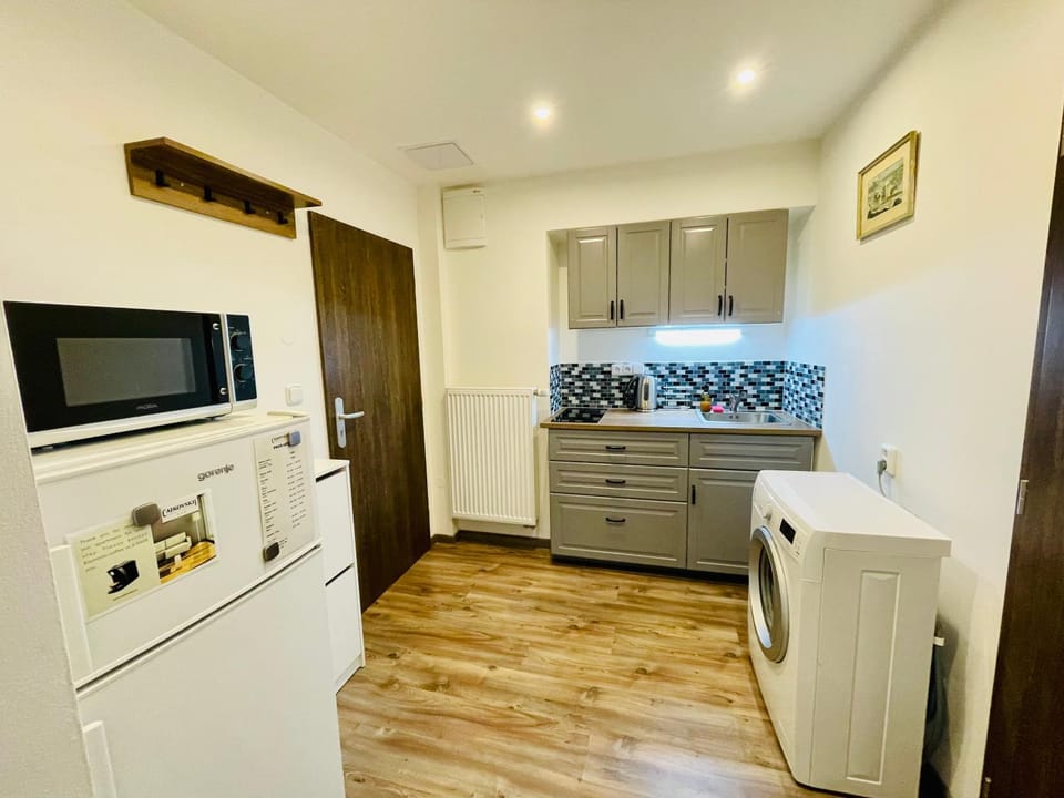 Kitchen or kitchenette, minibar, stove