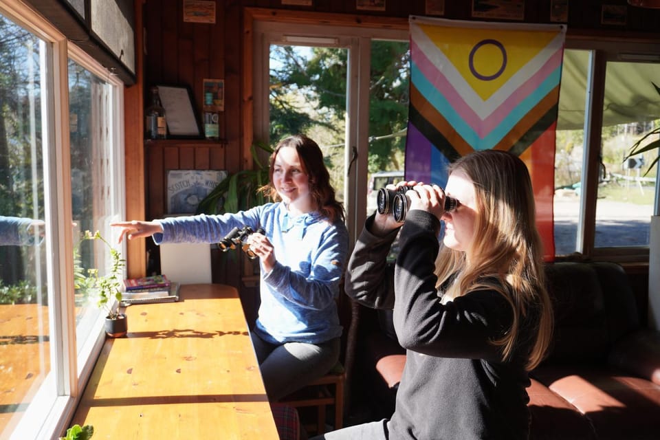 Loch Ness Lochside Hostel - Over 16s Only Hostel in Scotland