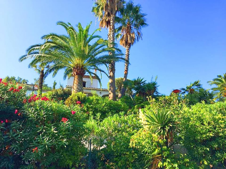 Garden, View (from property/room), Decorative detail, Garden view