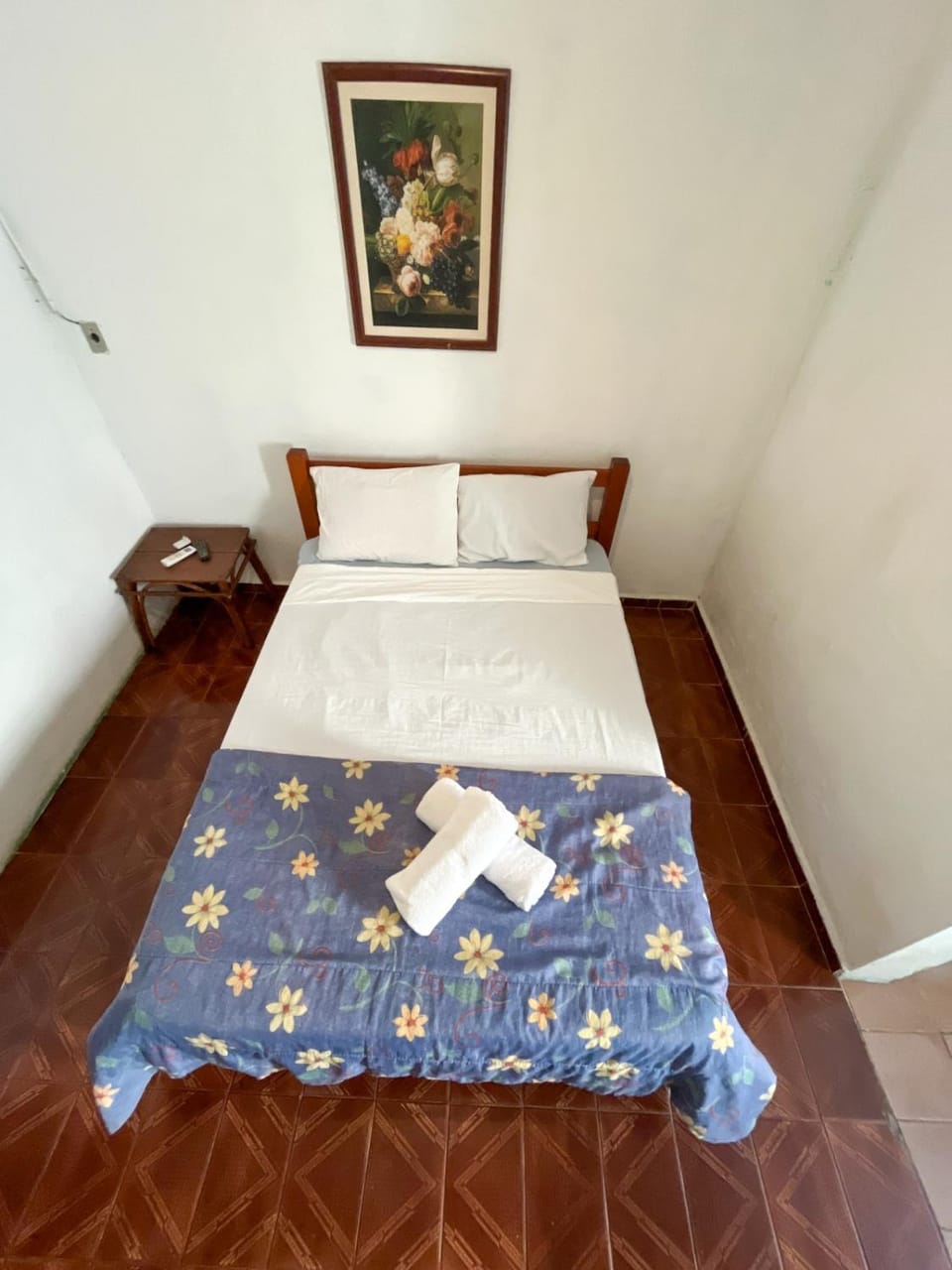 Pousada Solar do Frota Inn in Pirenópolis