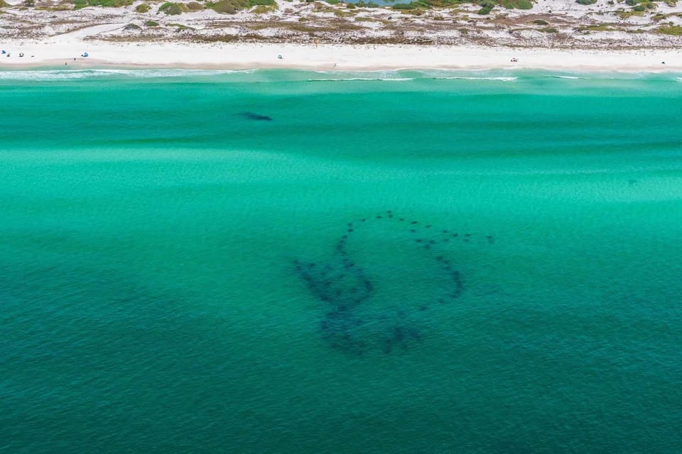 Surfer Girl House in South Walton County