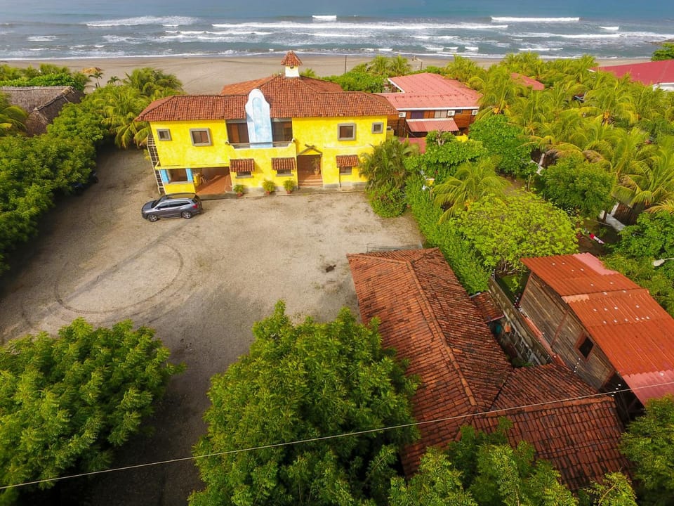 Neighbourhood, Natural landscape, Bird's eye view, Garden, Sea view