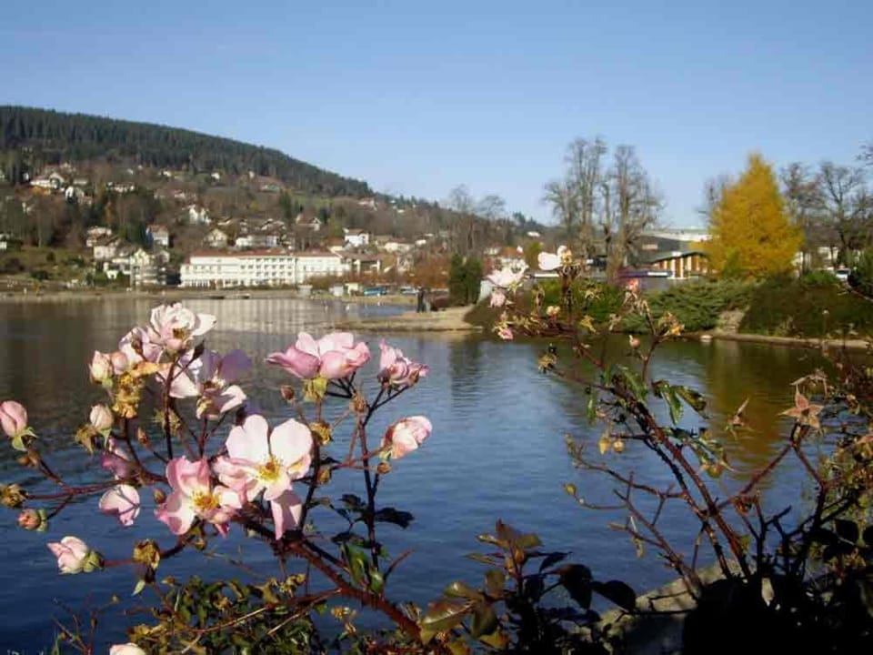 Villa Eden Apartment in Gérardmer