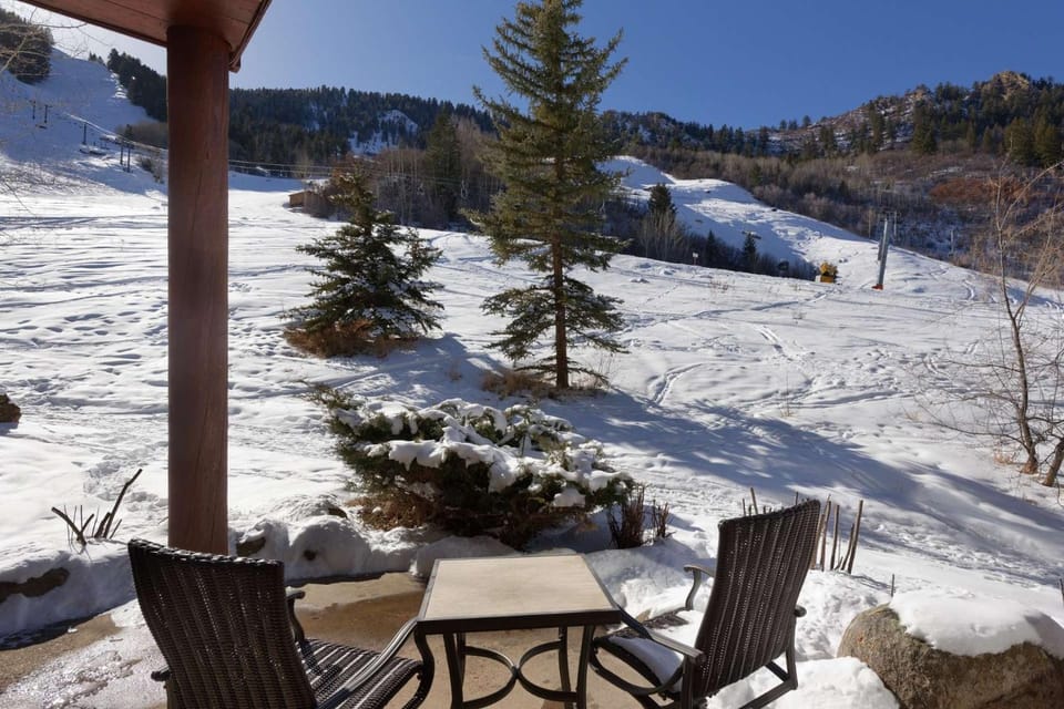 Mountain Queen 01 House in Aspen