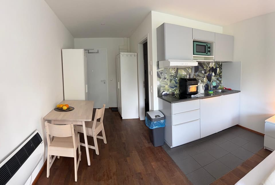 Kitchen or kitchenette, kitchen