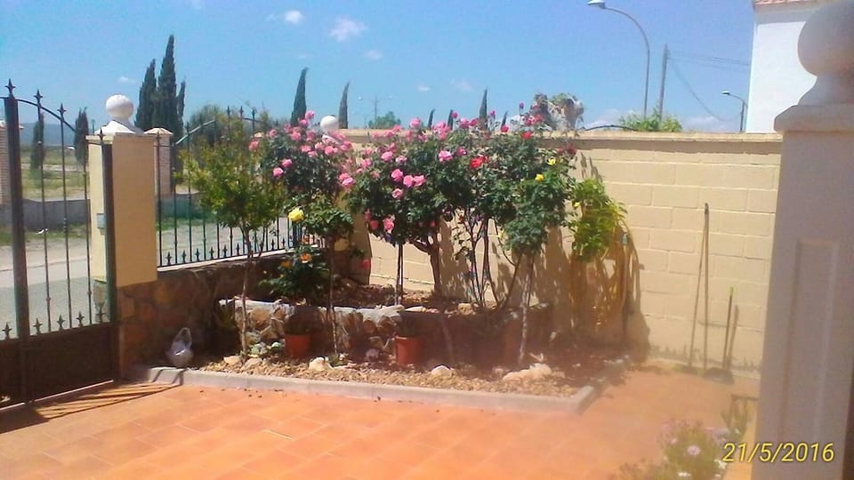Quiet street view