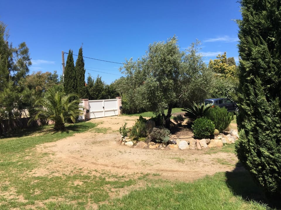 Property building, Garden, Garden view
