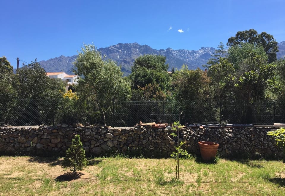 Property building, Garden