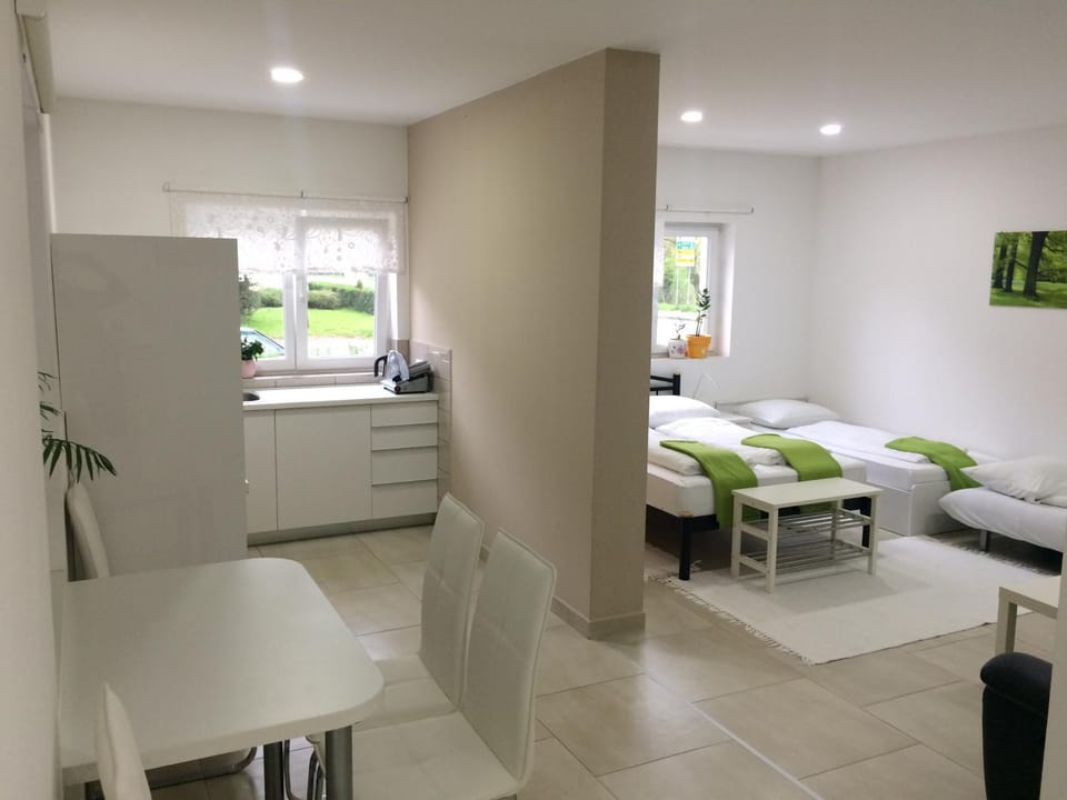 Bed, Kitchen or kitchenette, Living room, Photo of the whole room, Decorative detail, Seating area, Dining area, Bedroom