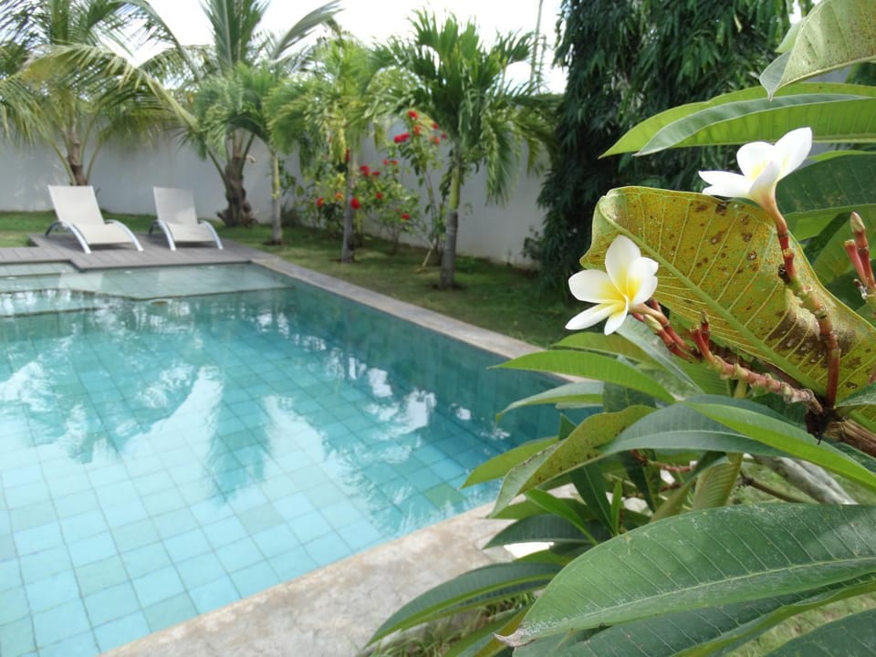 Activities, Garden, Pool view, Family