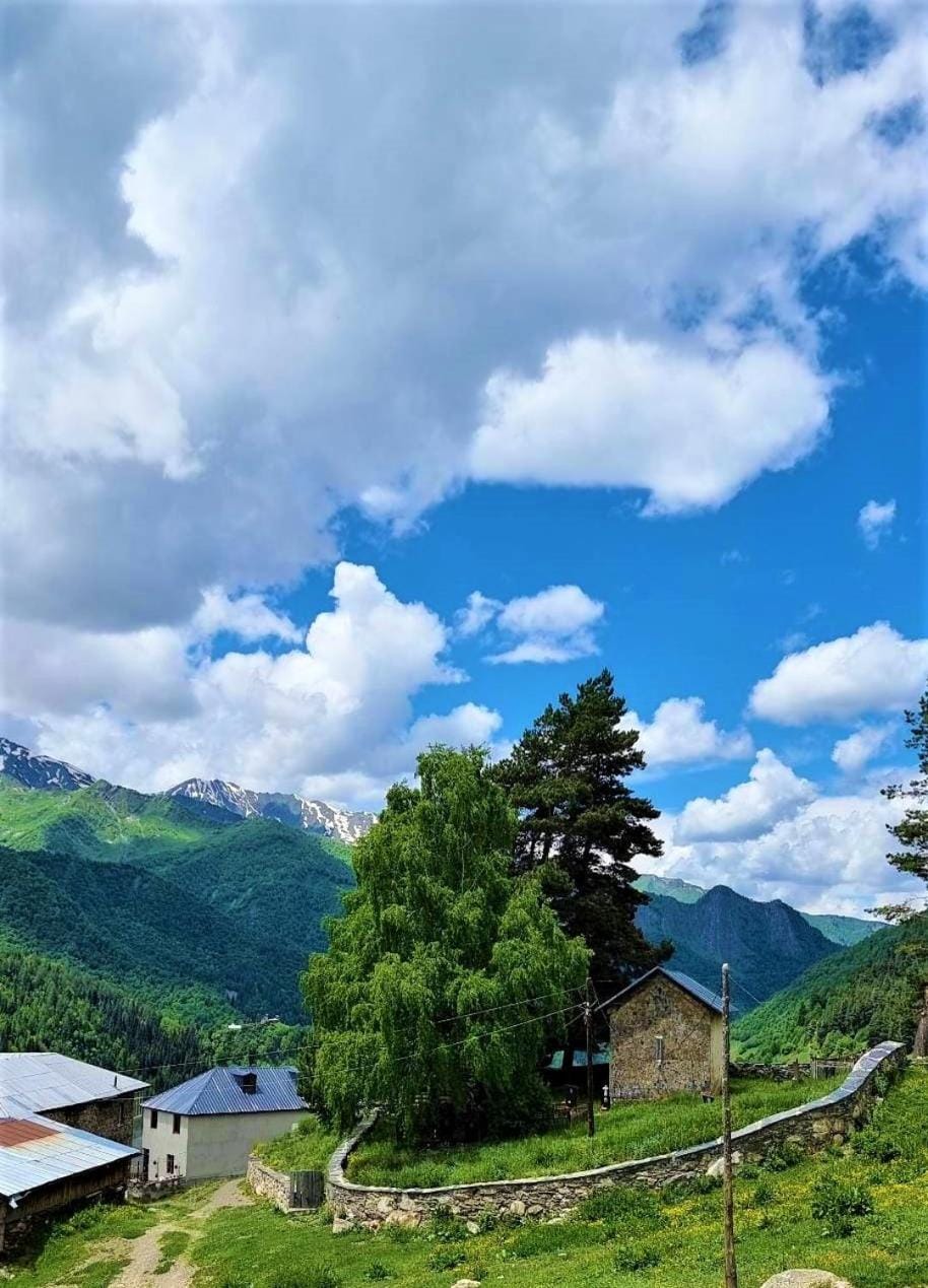 Location